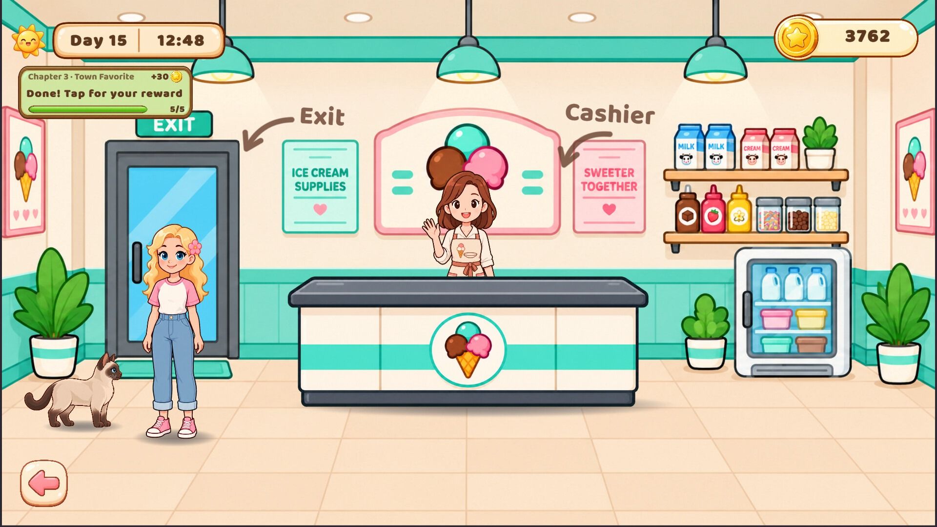 The ice cream supplier shop, with a cashier, a freezer and shelves of supplies.